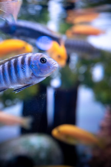 Jak testować wodę w akwarium – porady akwarystki